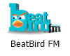 Dance FM - BeatBird FM