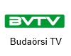 Budaörsi Városi TV