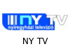 NY TV (Nyíregyházi Televízió)